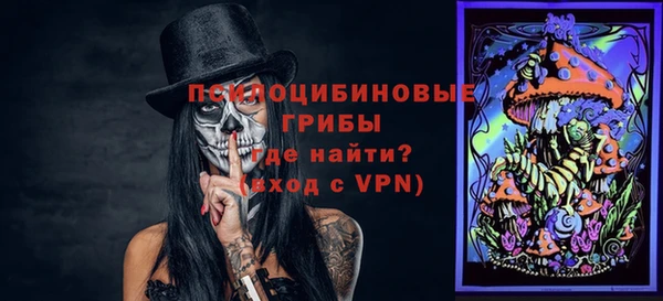 бошки Кулебаки