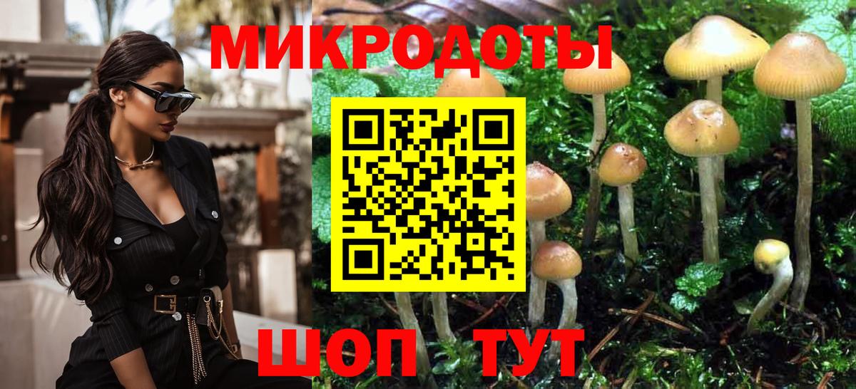 Галлюциногенные грибы Psilocybine cubensis  Вход с VPN  купить  цена  Псилоцибиновые грибы Psilocybine cubensis  Усть-Джегута 