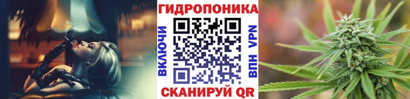 Бошки Шишки сатива  Усть-Джегута 